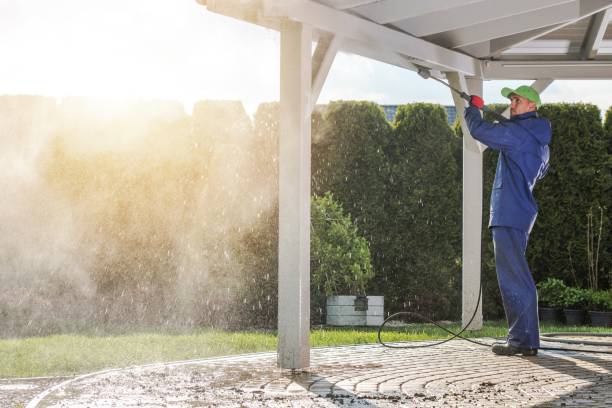 Best Sidewalk and Walkway Cleaning  in Llington, MI