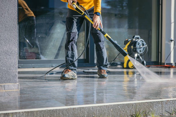 Best Animal Enclosure Cleaning  in Llington, MI